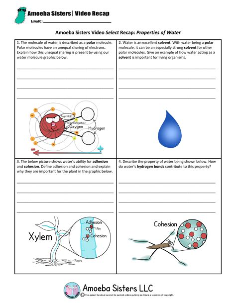 This handout can make a great exit ticket supplement so that every class minute is valuable. Amoeba Sisters water properties worksheet