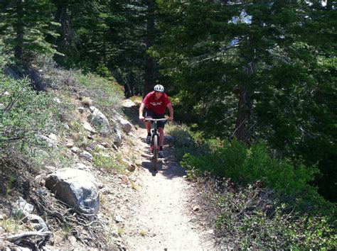Mountain Biking Mammoth Lakes Information From The Snowman