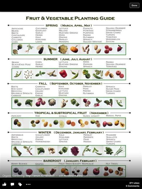 Vegetable Planting Guide Fruit Fruits And Veggies