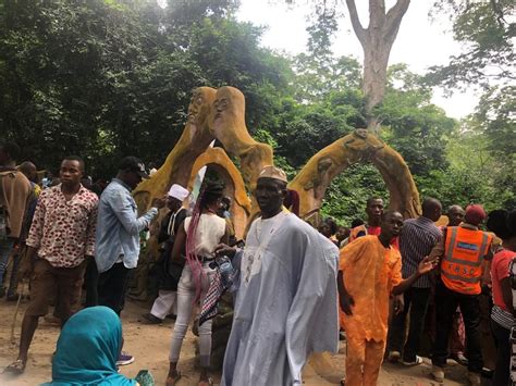 The History Behind The Osun Osogbo Festival Procession Plus Tv Africa