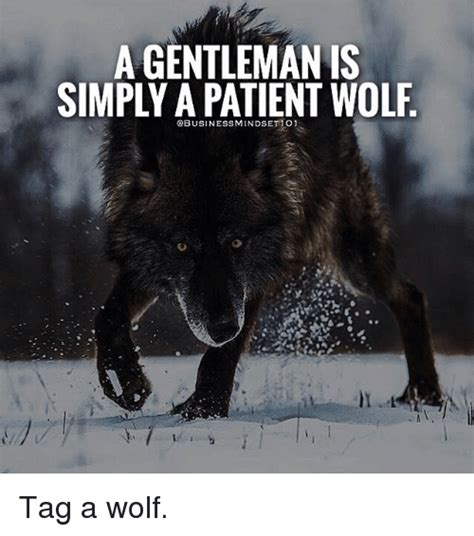 15 Top Wolf Meme Joke Images And Photos Quotesbae