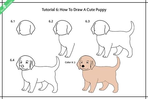 Step By Step Guide On How To Draw A Dog For Kids Puppy Drawing Cute