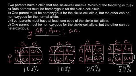 Article Sickle Cell Anemia Punnett Squares By Coach Smith Science SexiezPicz Web Porn
