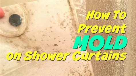 How to prevent mould in bedroom. How to Prevent Mold on a Shower Curtain - Get Green Be Well