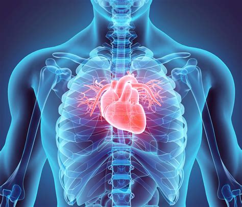 Heart Disease What You Need To Know Rijals Blog