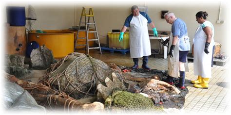 Read articles and information based around animal issues. Hong Kong Veterinary Association
