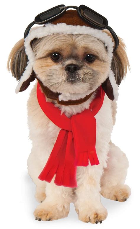 Top 20 Best Cute Dog Costumes For Halloween