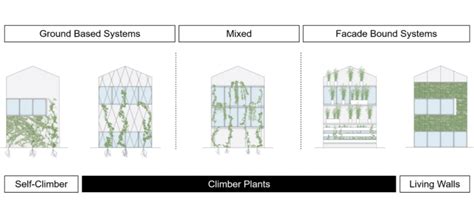 Green Facade Types The Differences Explained Tensile Design And Construct