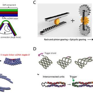 Mechanical Designs Of D Dna Nanostructures Are Applied To A Wide Range