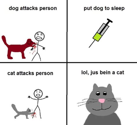 The Differences Between Cats And Dogs 25 Pics