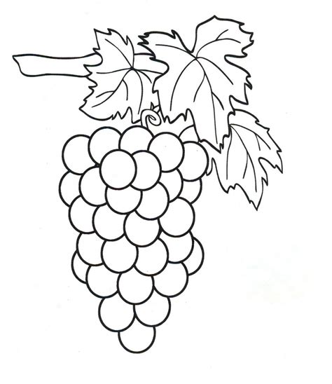 Grapes Coloring Pages To Download And Print For Free