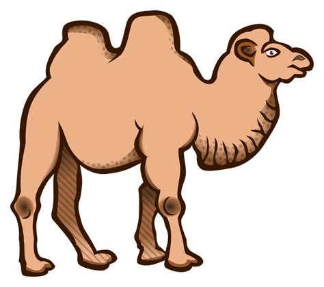 63,006 likes · 164 talking about this. 2-hump-camel - Free Clip Art For Download