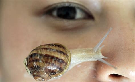Snail Facial Slithering Beauty