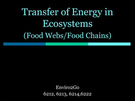 Ppt Transfer Of Energy In Ecosystems Food Websfood Chains