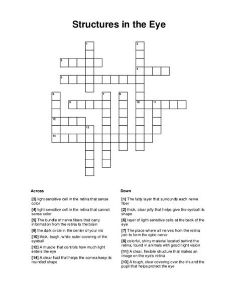 Structures In The Eye Crossword Puzzle