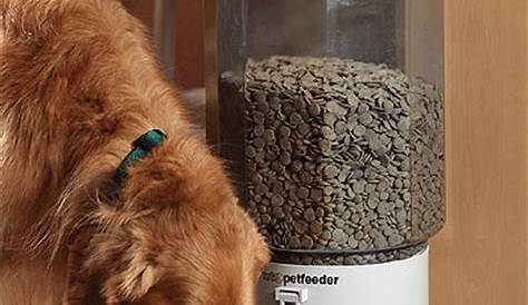 automatic pet feeder programming instructions