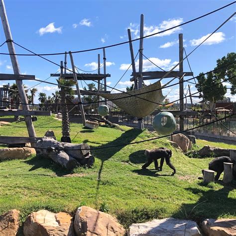 8 Best Zoos And Wildlife Parks In Sydney