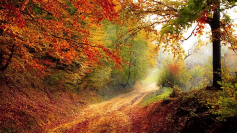 beautiful autumn road wallpapers hd wallpapers id