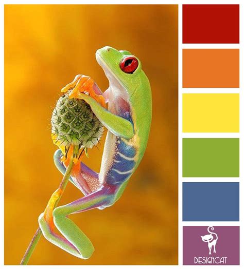 We did not find results for: Tree Frog: Red, Orange, Yellow, Green, Blue, Purple ...