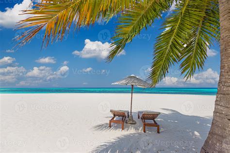 Tropical Beach Nature As Summer Landscape With Lounge Chairs And Palm