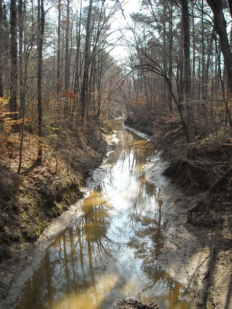 Headwaters Of The Big Black River Flickr