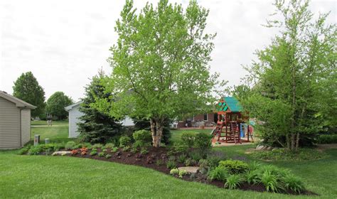 Front Yard Landscape Berms And Mounds Revive Your Landscaping And