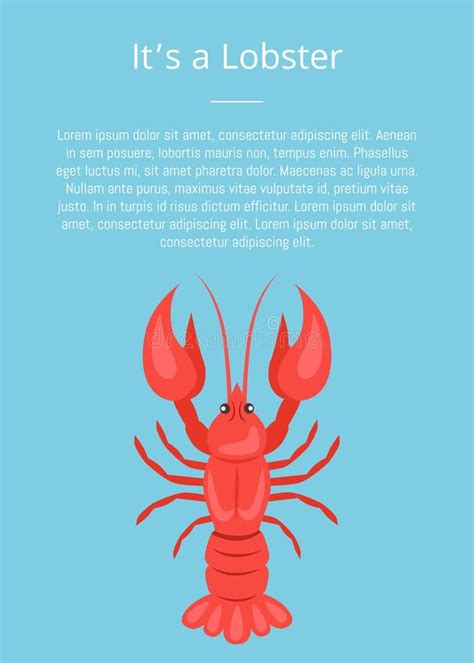 Its A Lobster Poster With Red Crayfish Vector Isolated Stock Vector