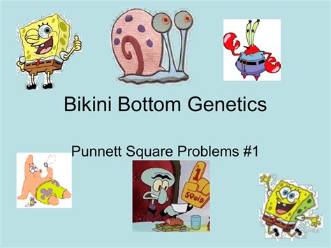 Check spelling or type a new query. Punnett Square Practice #3 Spongebob Squarepants / This is ...