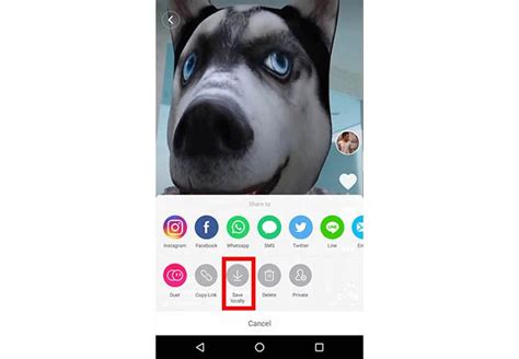 Cara Menyimpan Video Tik Tok di Galeri Smartphone - Dafunda Tekno