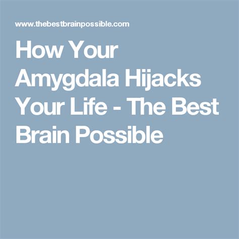 How Your Amygdala Hijacks Your Life The Best Brain Possible Best