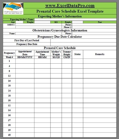 34 Antenatal Care Plan Format