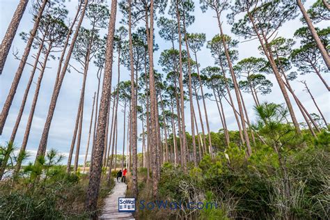 30a Trail Guide To The Scenic Highway 30a In Florida