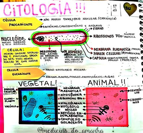 Mapa Mental Sobre Citologia Maps4study