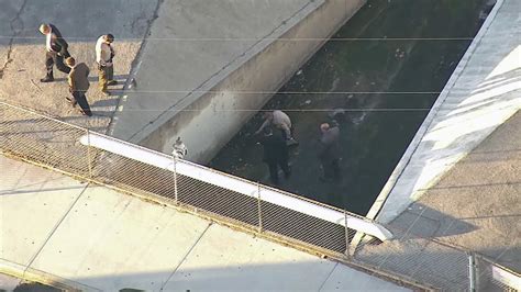 Create a lost pet report with animal services contact hamilton animal services to leave a report: Man shot to death in Hawaiian Gardens, homicide detectives ...