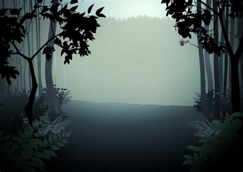 Dark Forest Stock Vector Illustration Of Wilderness 31798626