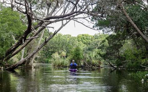 Kayaking-with-manatees-in-Crystal-River-Florida - Intrepid Escape