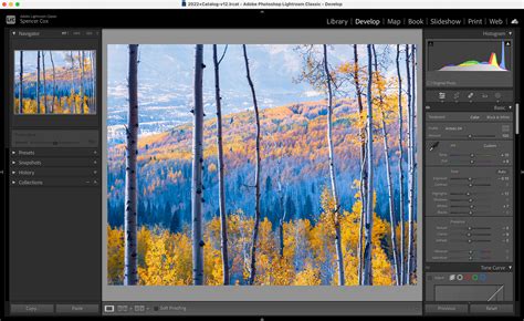 Photoshop Vs Lightroom What You Need To Know 2024