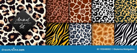 Trendy Wild Animal Seamless Pattern Collection Vector Leopard Cheetah