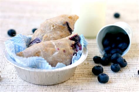Copycat hostess blackberry fruit pie. Hostess Copycat Recipes to Make at Home - Brownie Bites Blog