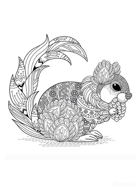 squirrel coloring pages  adults printable   squirrel coloring pages