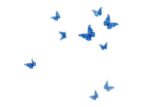 Tumblr Blue Butterfly Wallpaper Aesthetic