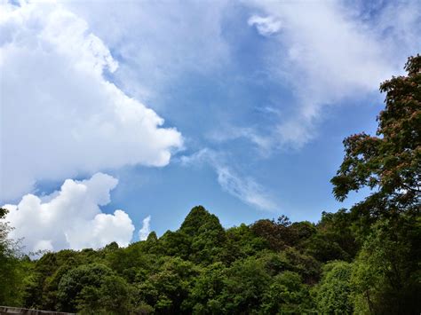Filegreen Forest Blues Sky And The Clouds Wikimedia Commons