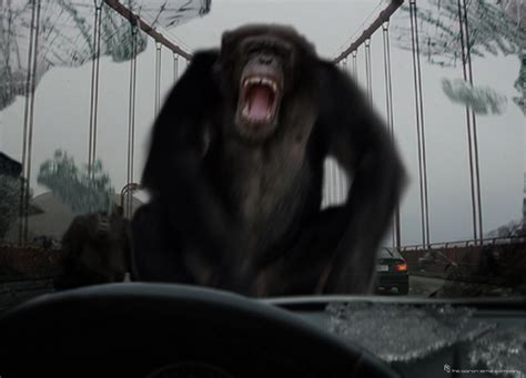 If you're a normal person, one of the few things you can count on in life is death. Movies: Rise of the Planet of the Apes (2011)