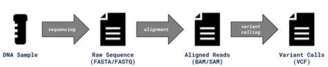 What Is A Variant Call Format Vcf File — Precision Oncology