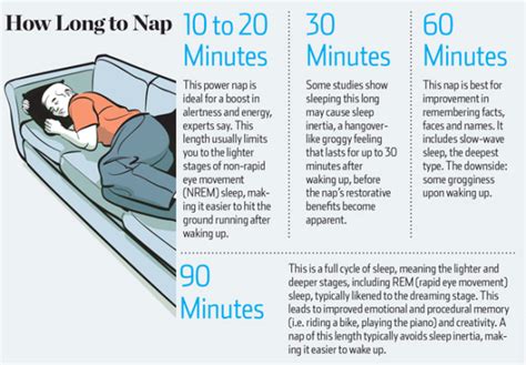 napping can dramatically increase learning memory awareness and more oyibos online