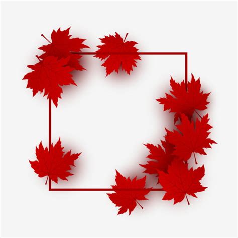 Red Maple Leaf Clipart Transparent Png Hd Frame Border Decoration