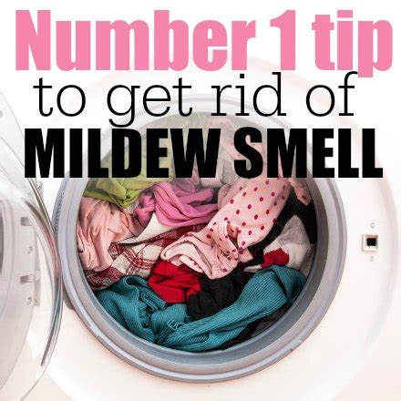 How to get rid of smell in bedroom. How to Get Rid of Mildew Smell with just 1 ingredient ...