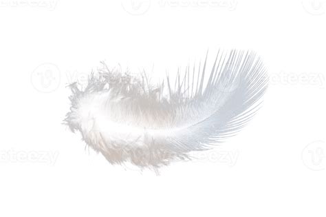 White Feather Isolated On Transparent Background Png File 18726927 Png