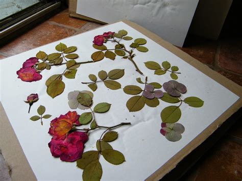Make A Flower Press Dried Flower Craft