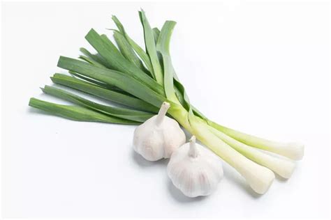 What Is Green Garlic Garlic Scapes Garlic Chives What Is Green Skin